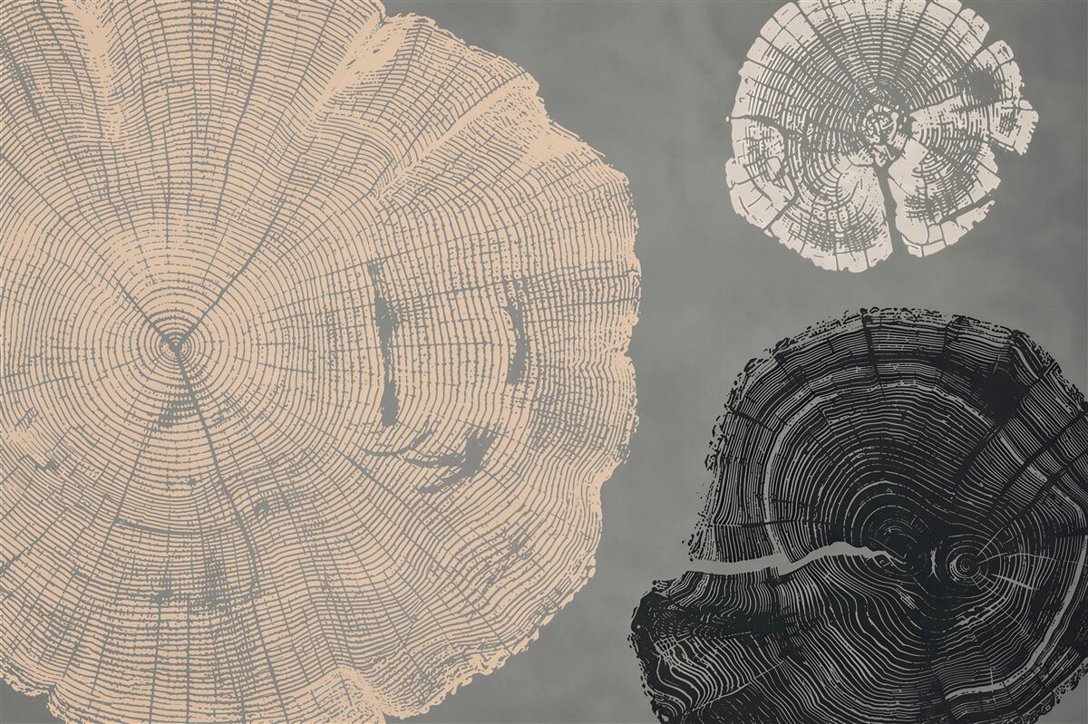 Papier peint motifs de bois beige et bleu abstraits pour le salon