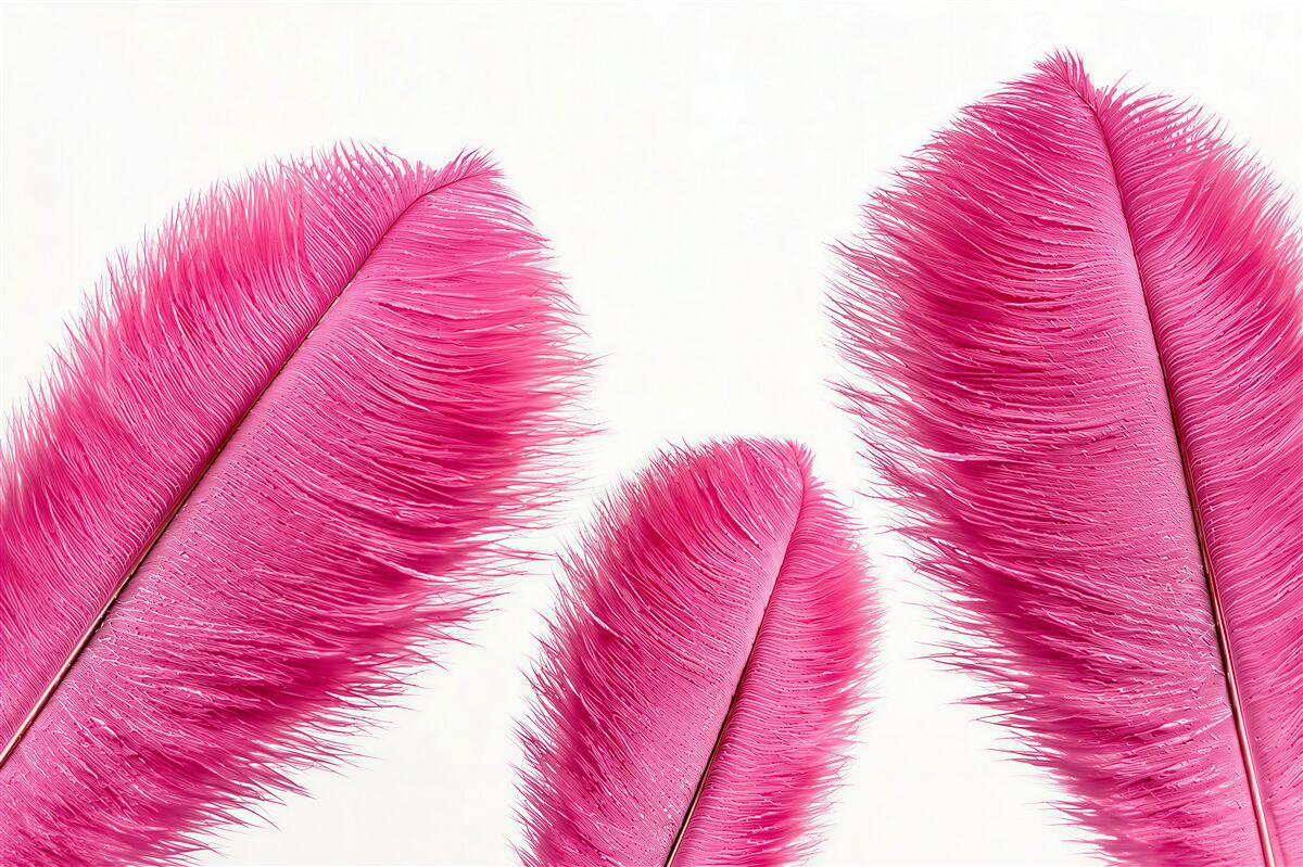 Papier peint plumes roses sur un fond clair délicates pour la chambre