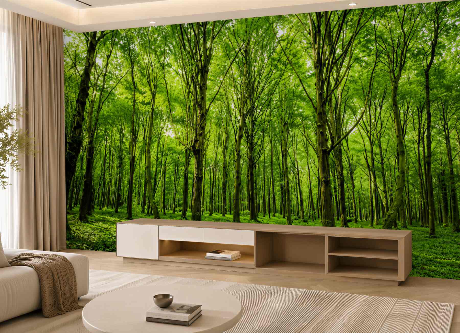 Papier peint forêt verte dans la brume avec des rayons de soleil nature paisible