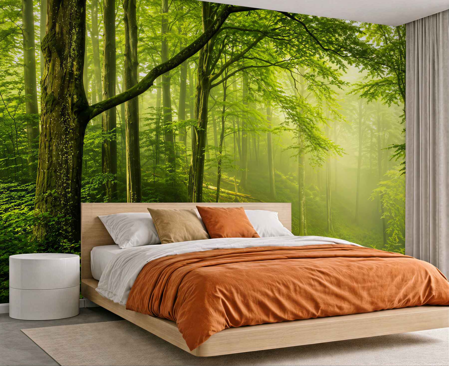 Papier peint chemin forestier dans les rayons de soleil vert paisible