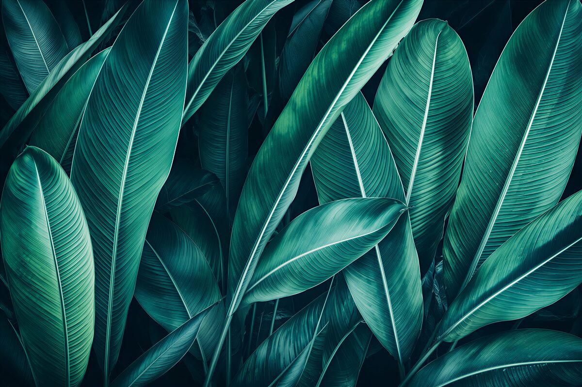 Papier peint feuilles tropicales vertes sur fond clair pour un intérieur moderne