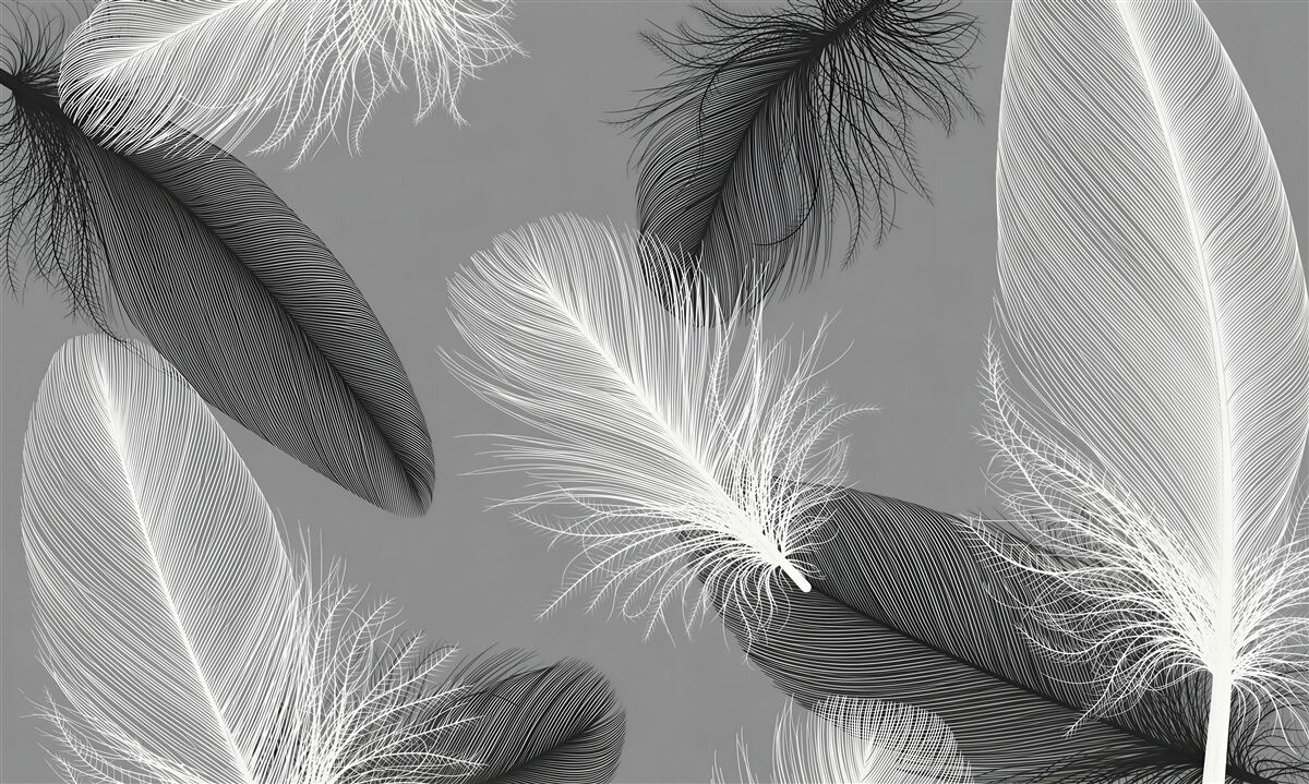 Papier peint plumes blanches et grises