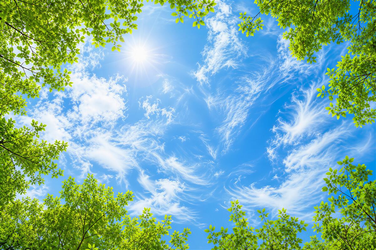 Papier peint ciel bleu et soleil entouré de verdure