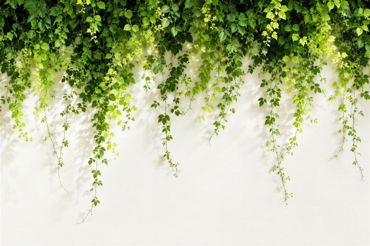 Papier peint plantes suspendues vert clair