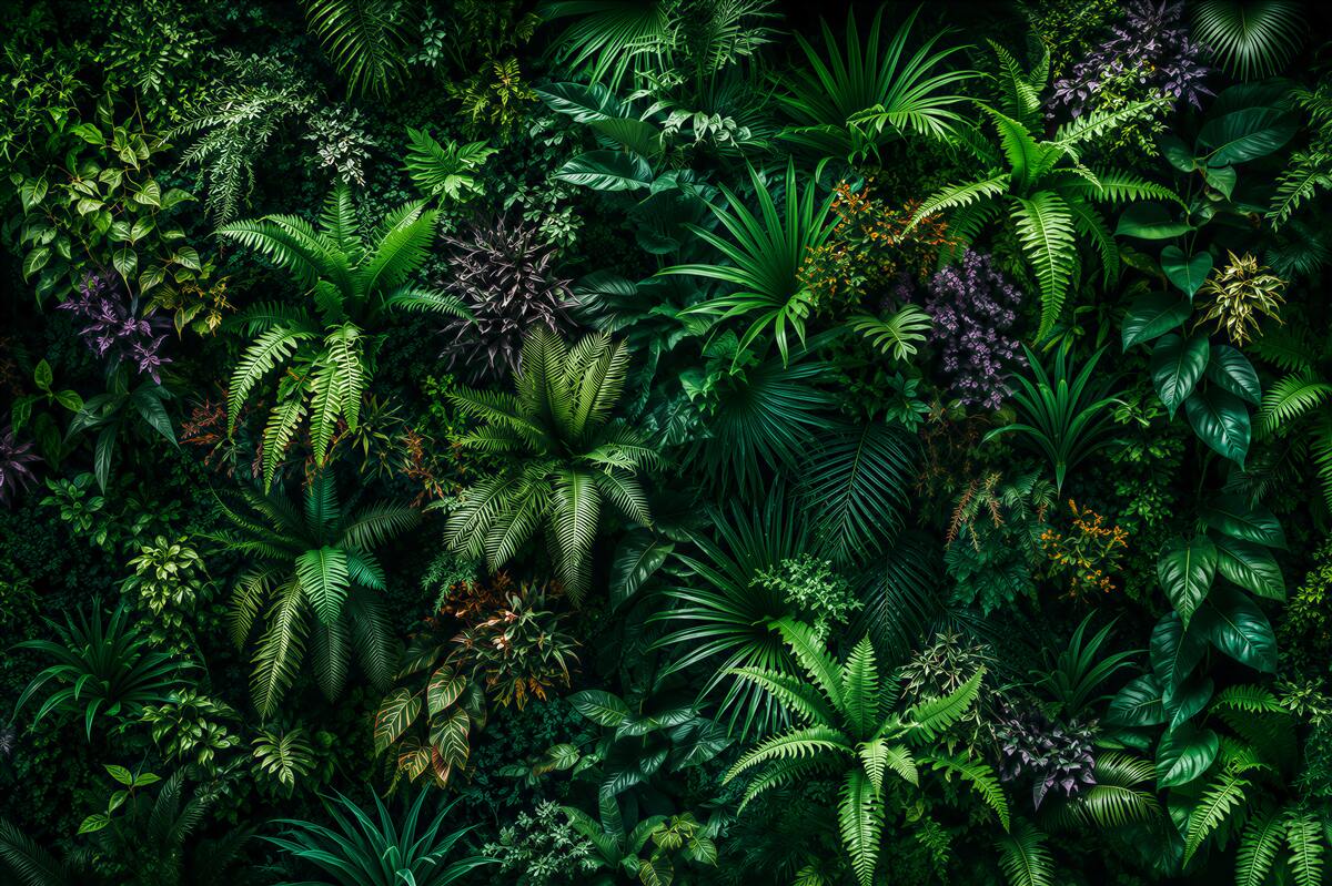 Papier peint nature de la jungle tropicale