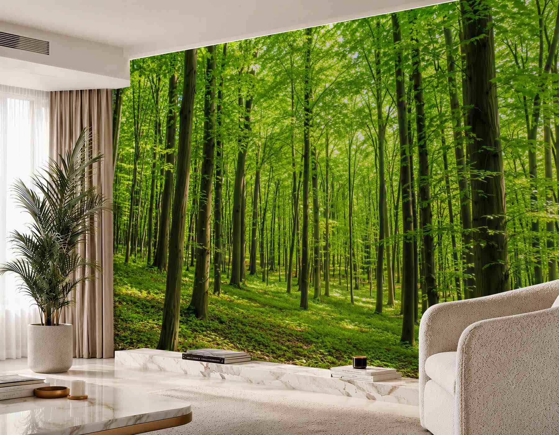 Papier peint forêt feuillue élancée en été