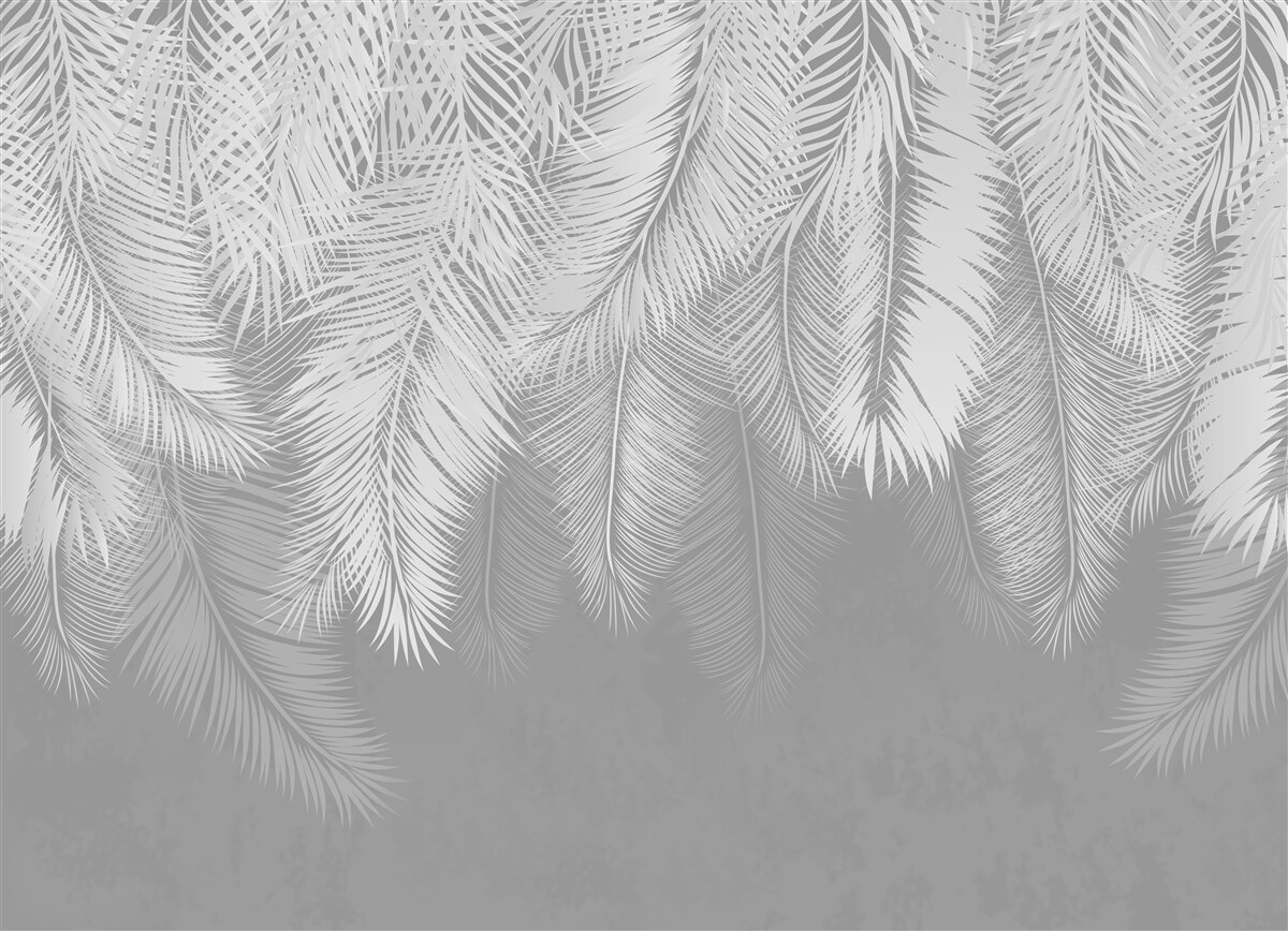 Papier peint grosses plumes blanches flottant dans l'air