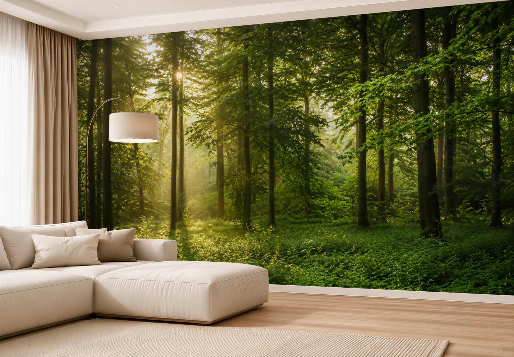Papier peint rayons du soleil du matin perçant la forêt
