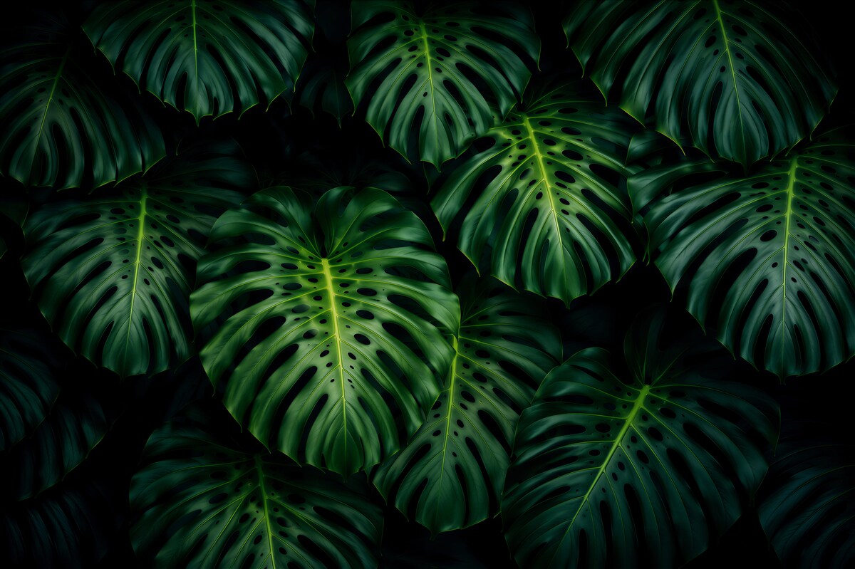 Papier peint grandes feuilles de palmier vertes