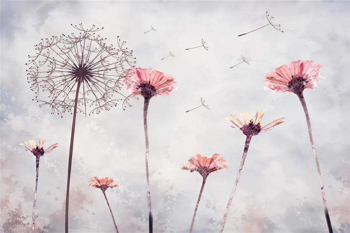 Papier peint gerberas et coquelicots sous un vent fort
