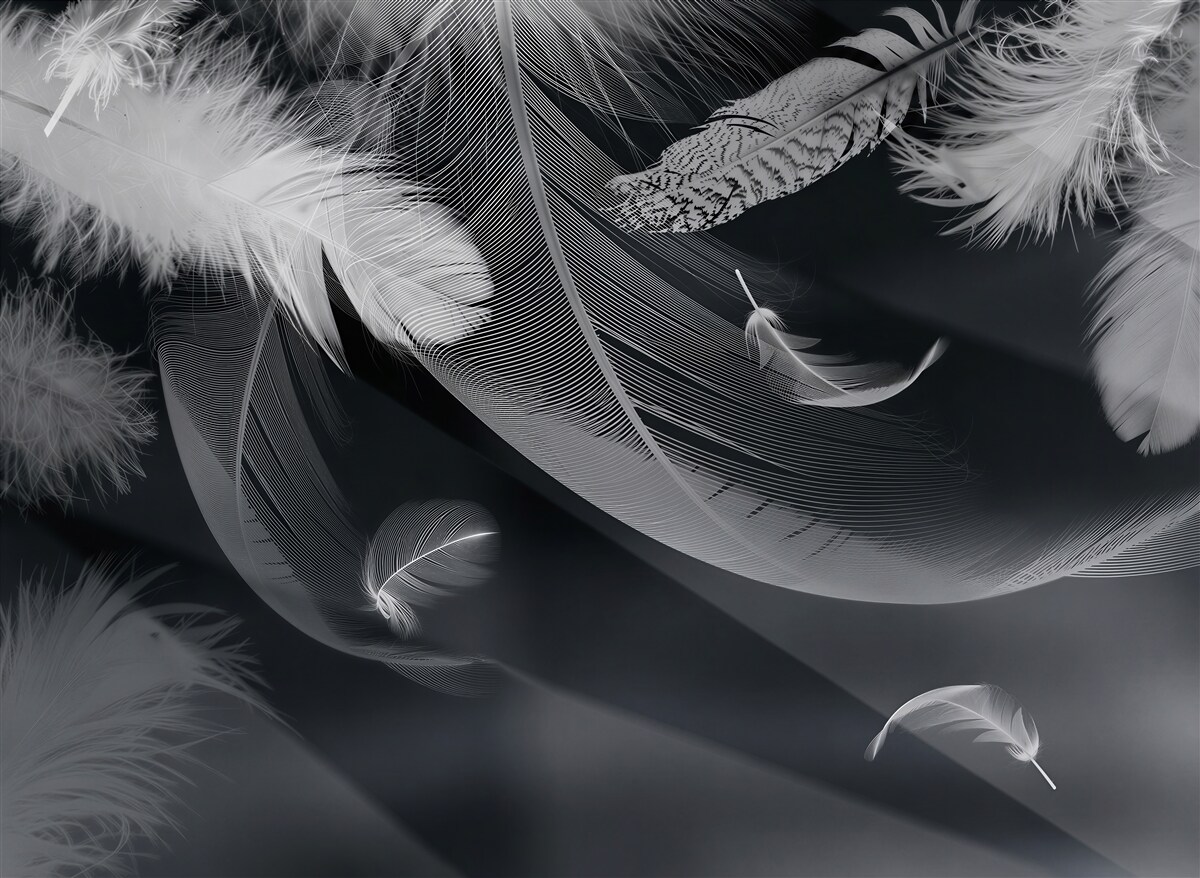 Papier peint bandes blanches de lumière sur un ciel noir