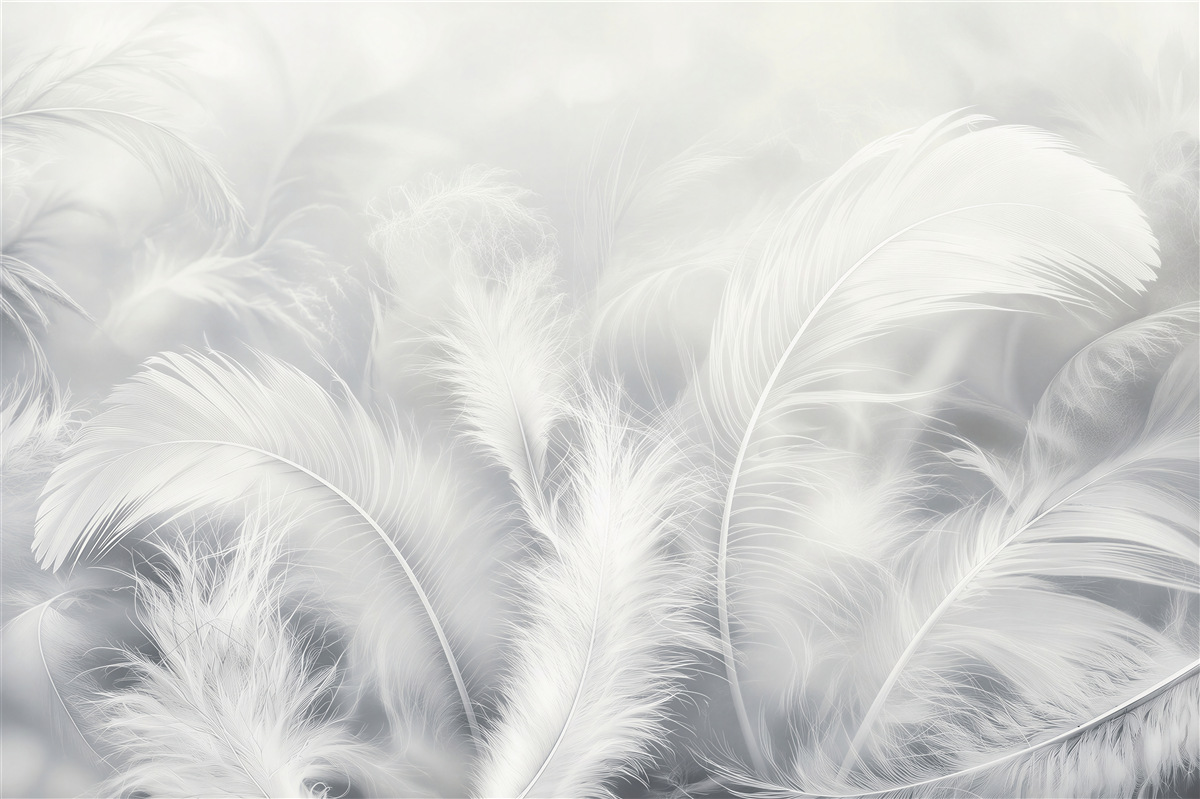 Papier peint plumes modernes aériennes