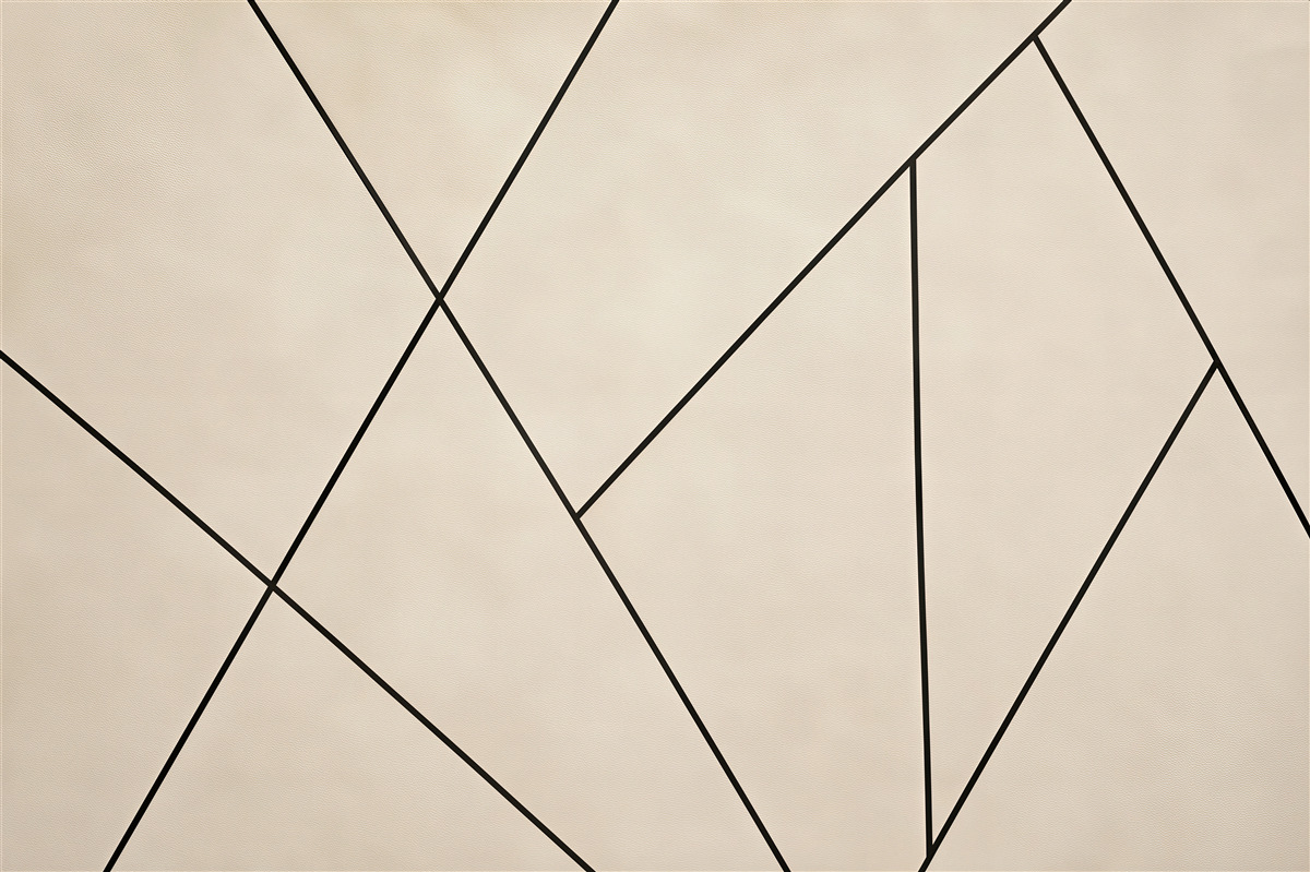 Papier peint mur ouvert et lignes noires simples