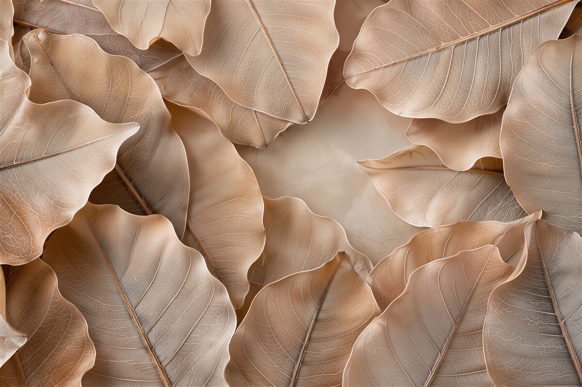 Papier peint feuilles beiges transparentes abstraction végétale subtile