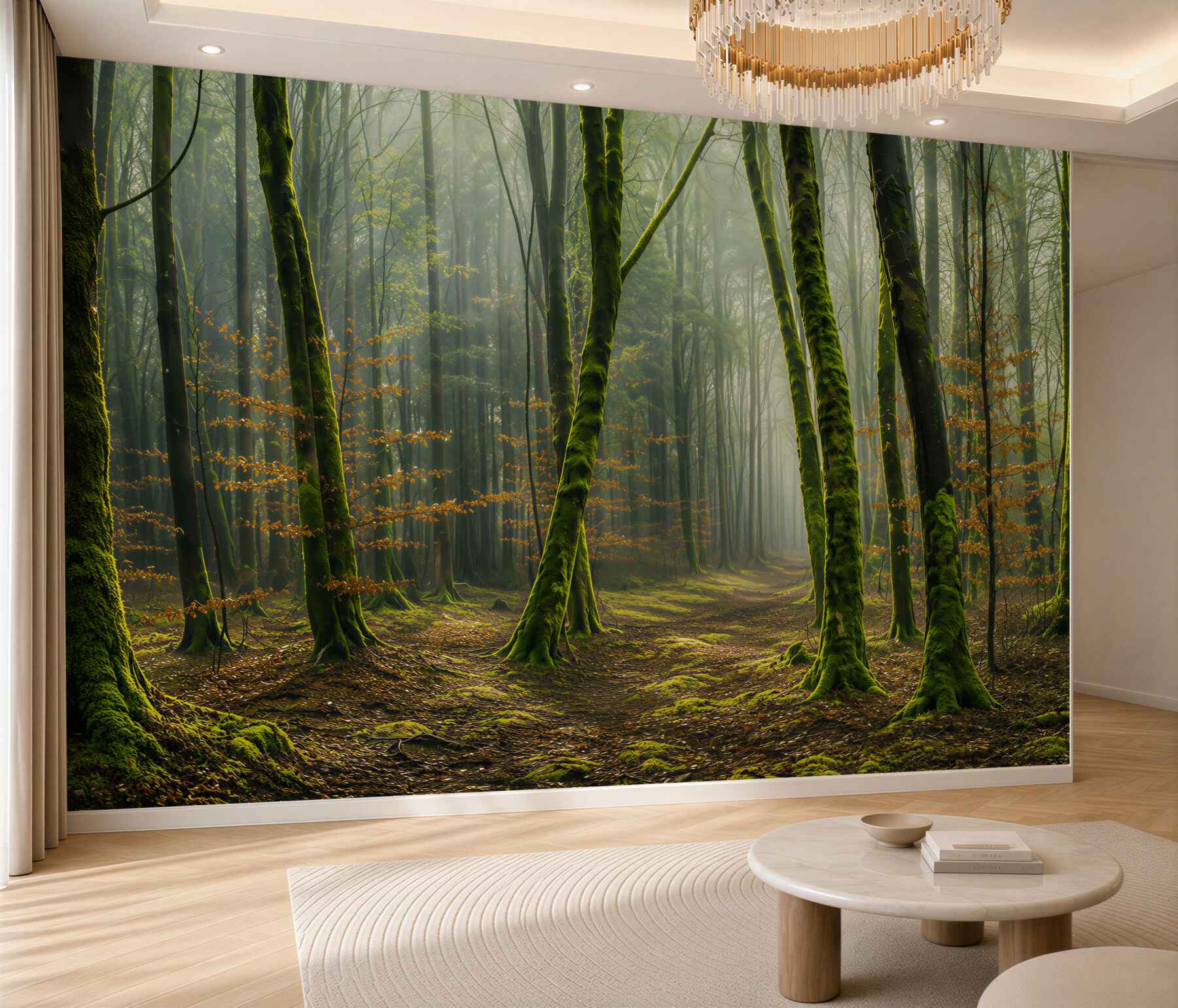 Papier peint forêt verte avec un chemin dans les rayons du soleil