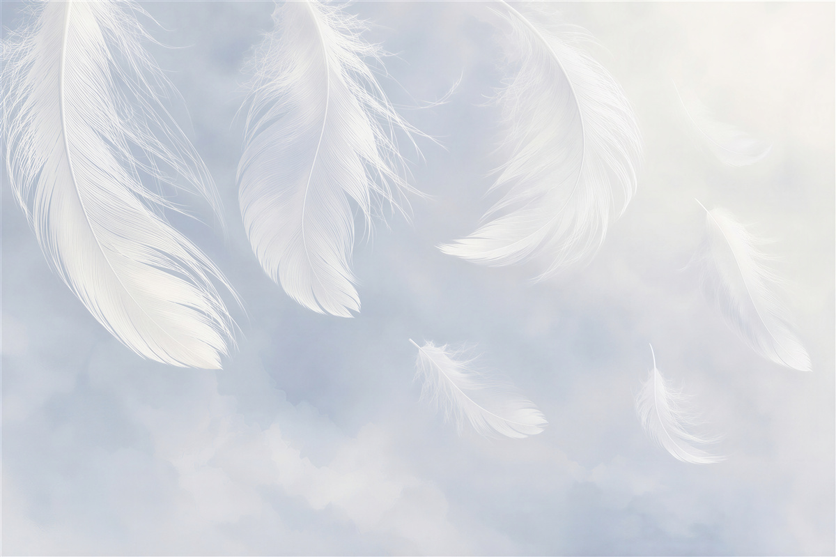 Papier peint plumes blanches sur fond bleu léger et délicat