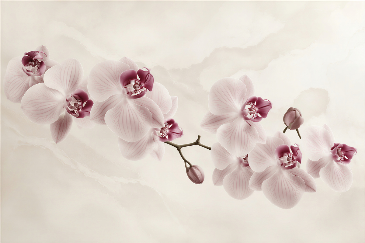 Papier peint orchidées rose poudré sur fond clair élégante pour la chambre