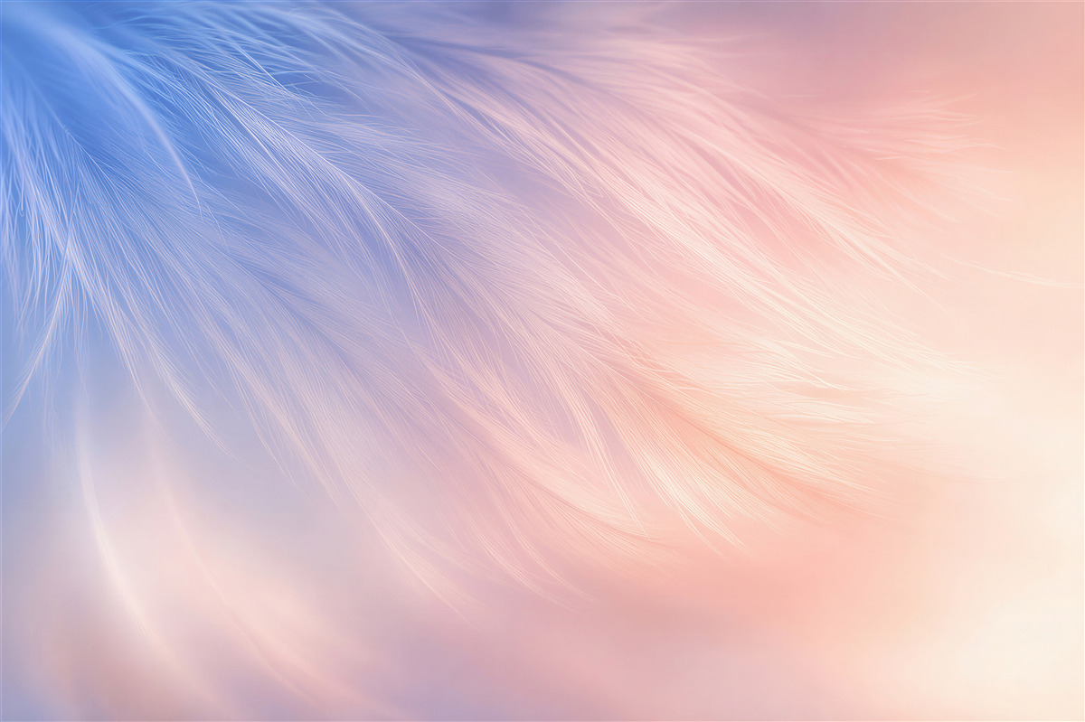 Papier peint plumes pastel rose et bleue délicates pour la chambre