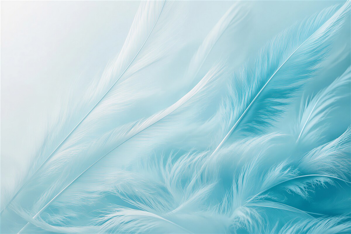 Papier peint délicates plumes bleues légères et subtiles pour la chambre