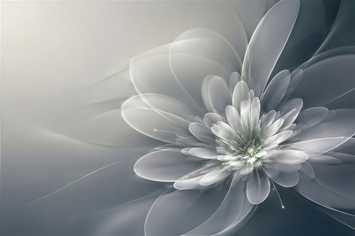 Papier peint fleur blanche abstraite sur fond gris moderne