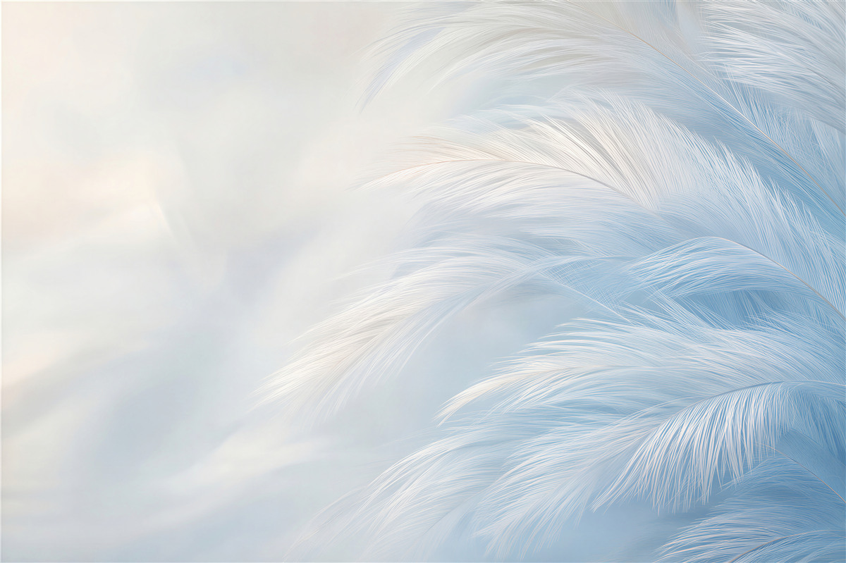 Papier peint délicates plumes blanches sur un fond bleu pour une chambre élégante