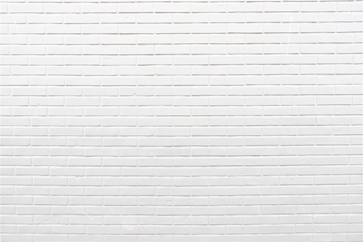 Papier peint mur en briques blanc neige