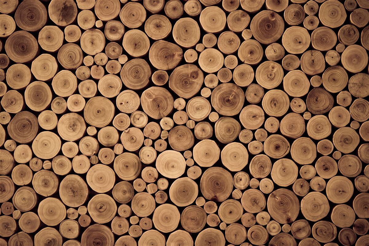 Papier peint rondins d'arbres bien rangés