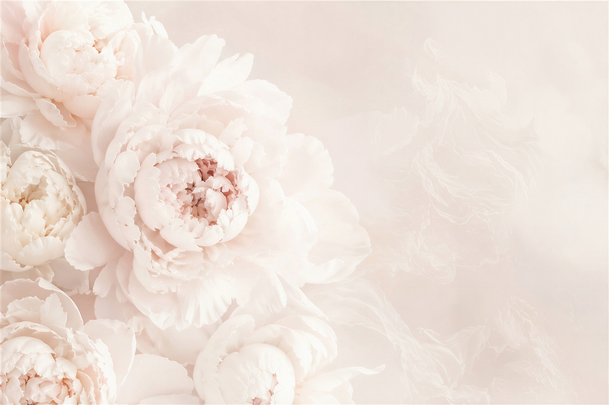 Papier peint belle pivoine pastel délicate