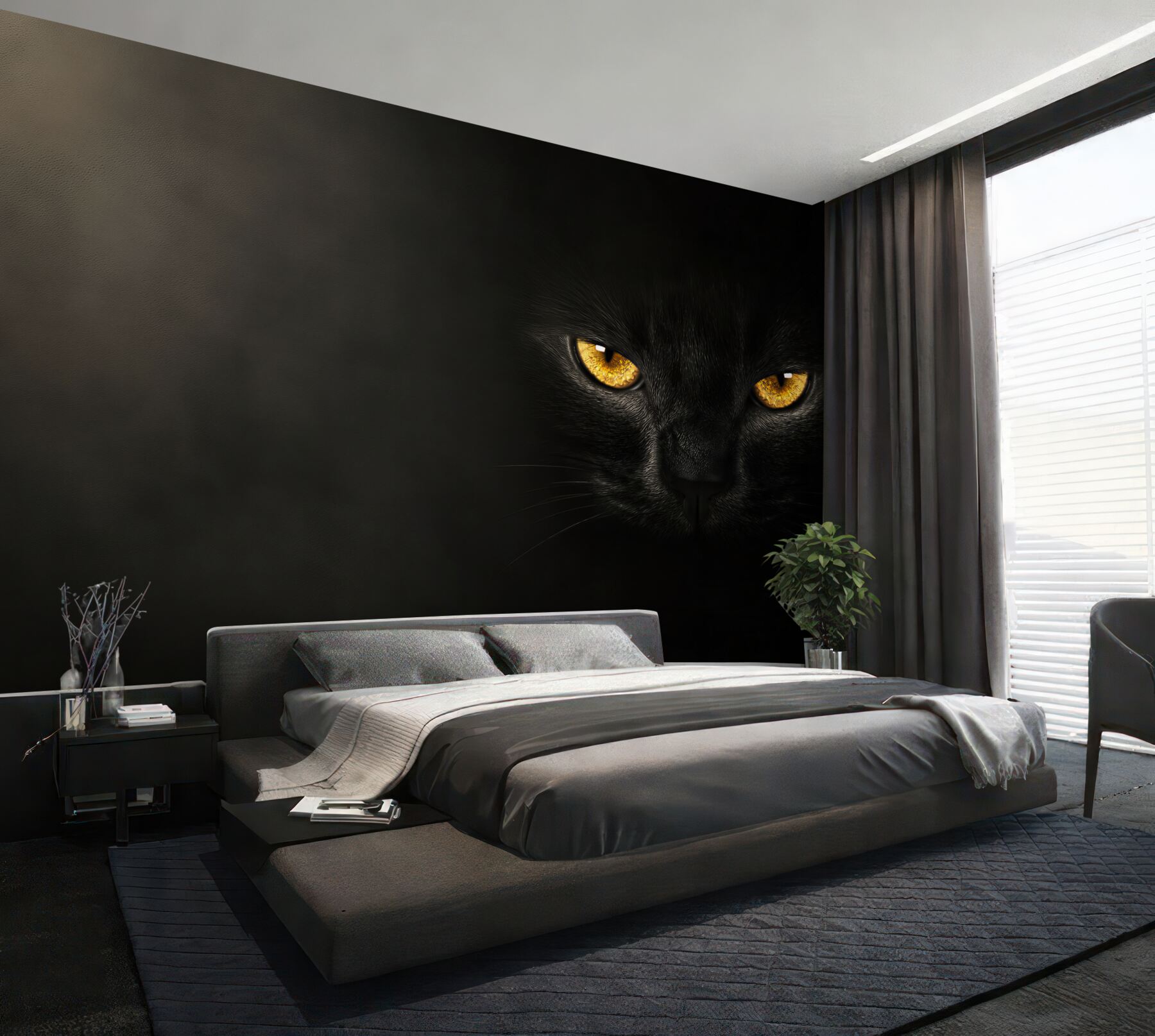 Papier peint regard perçant d'un chat noir