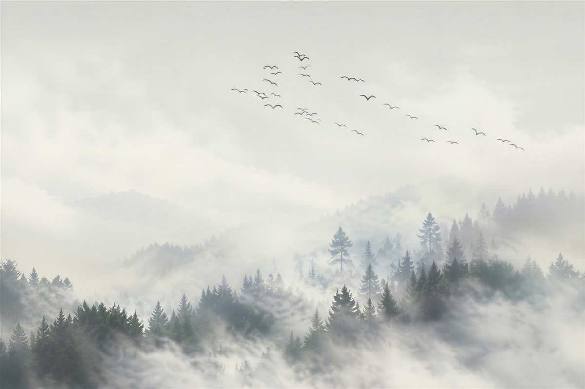 Papier peint un groupe d'oiseaux cherchant un endroit chaud dans la brume