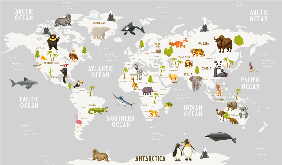 Papier peint carte des animaux sauvages