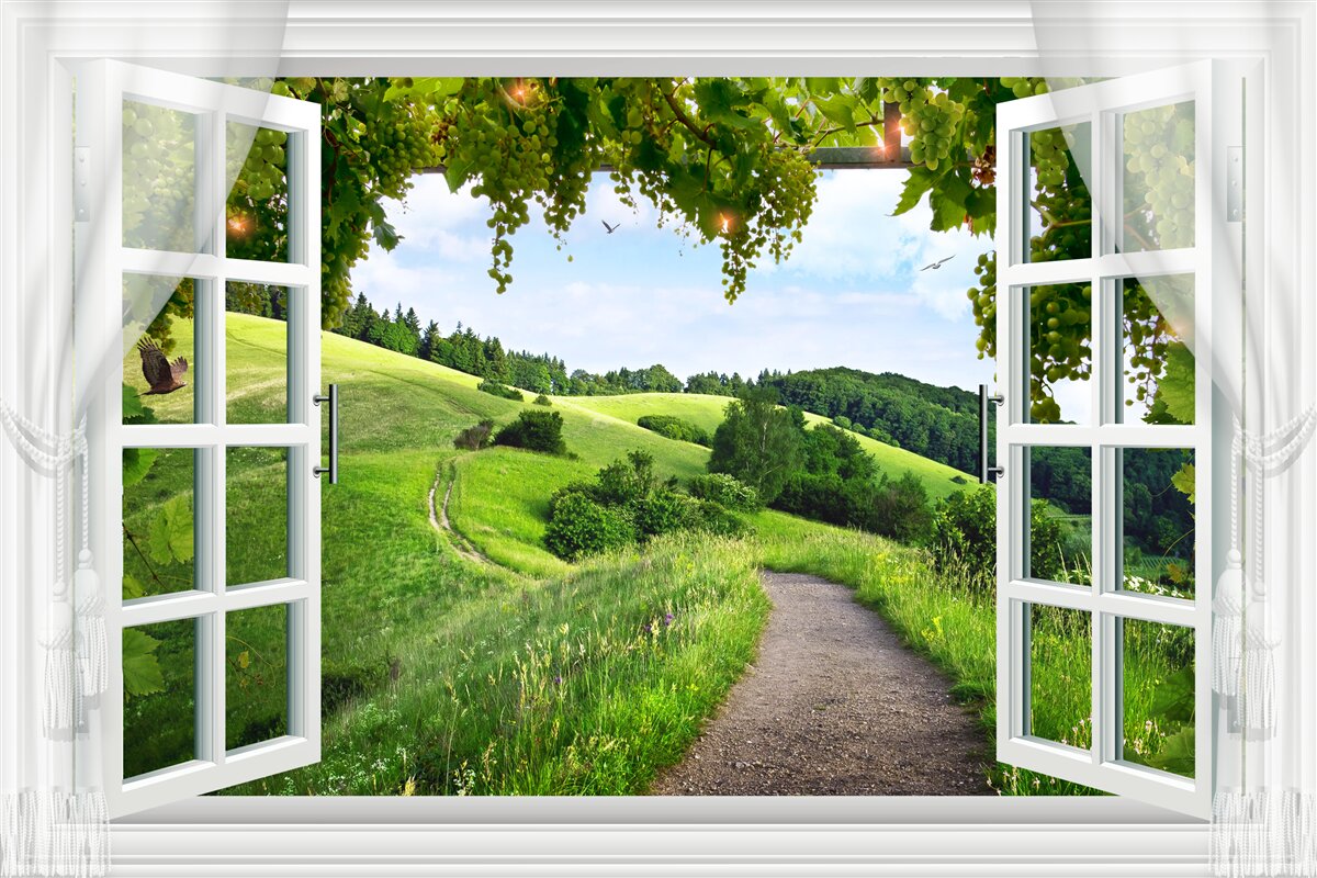 Papier peint fenêtre avec vue sur des prairies vertes