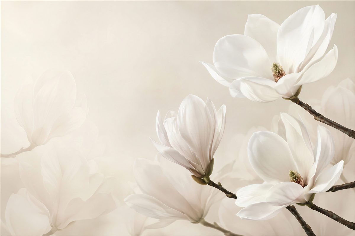 Papier peint fleurs floues, blanches
