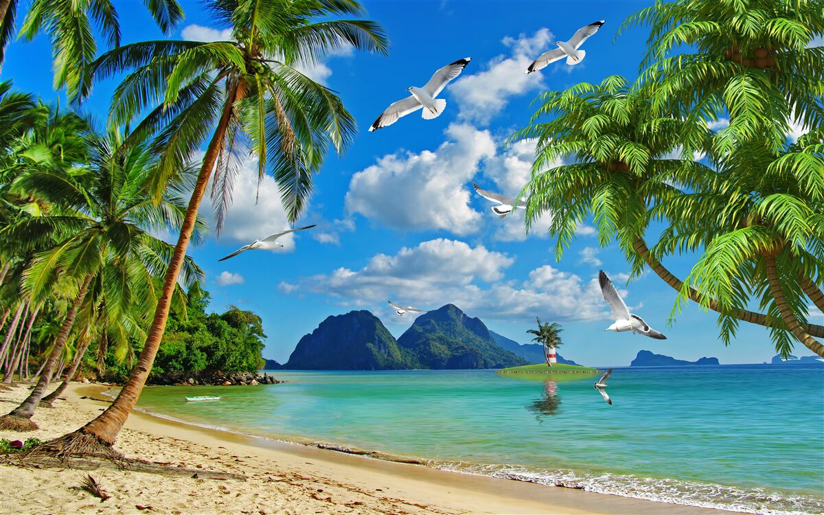 Papier peint paradis tropical