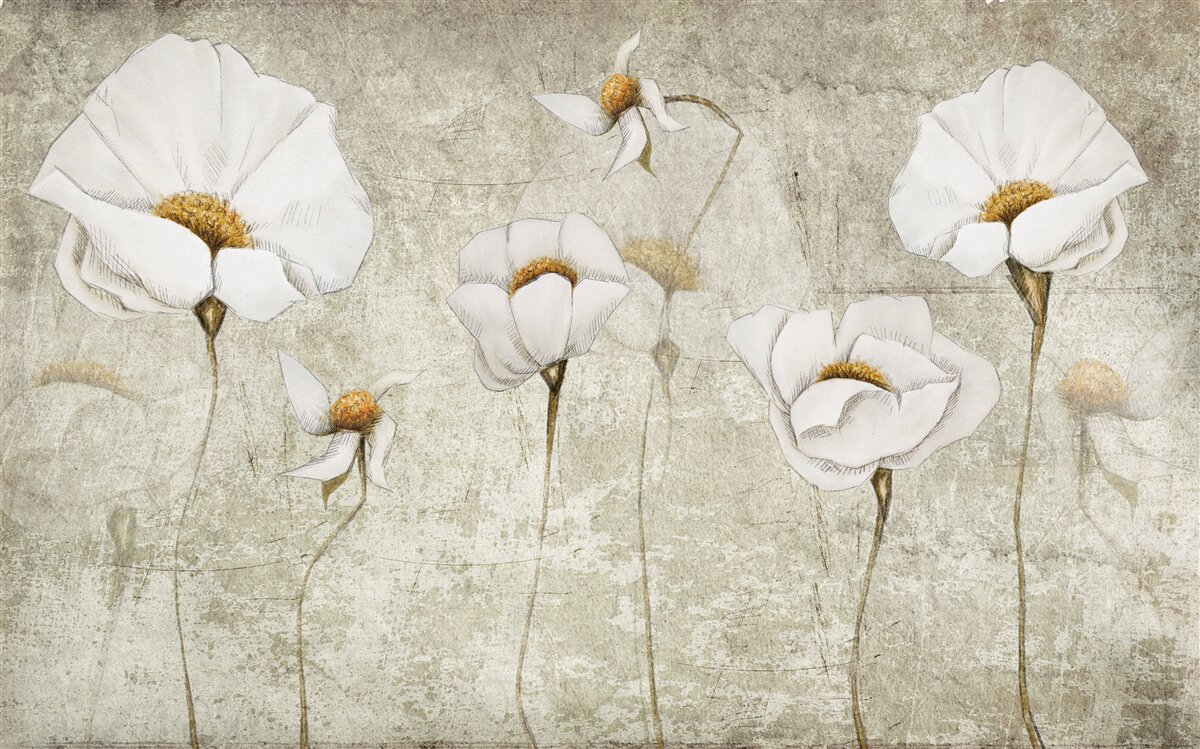 Papier peint fleurs blanches élancées dans un champ