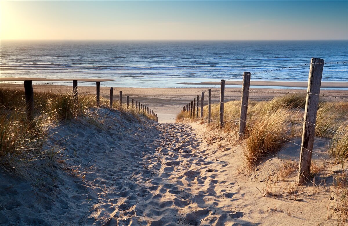 Papier peint plage de sable et mer calme