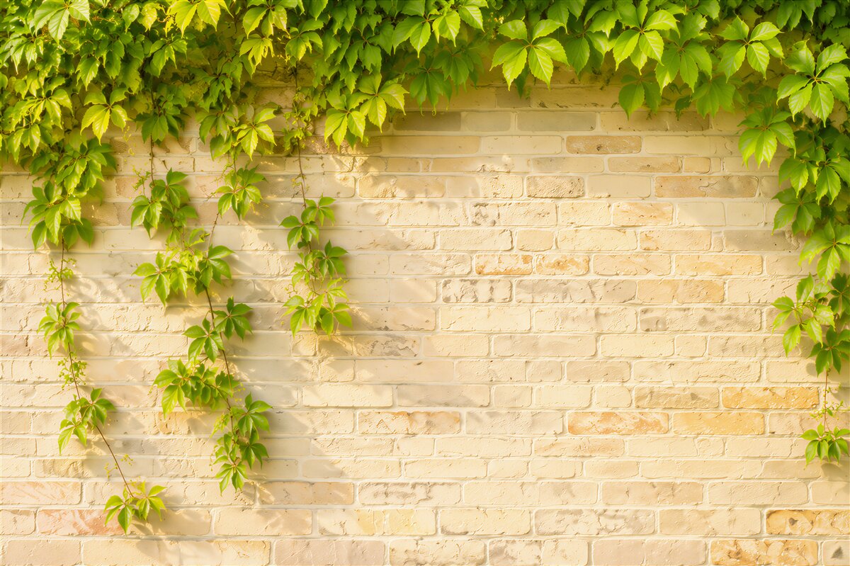 Papier peint végétation verte sur mur en briques