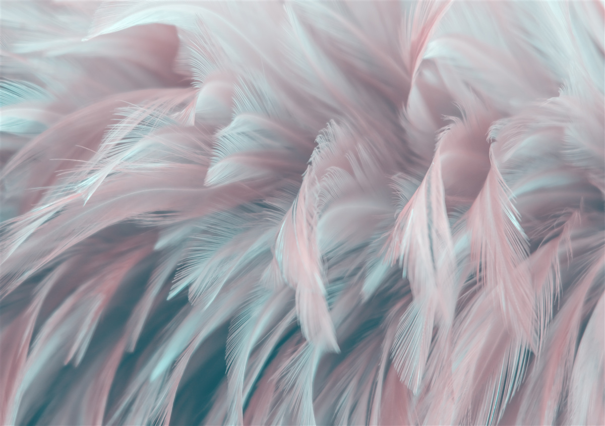 Papier peint plumes roses délicates