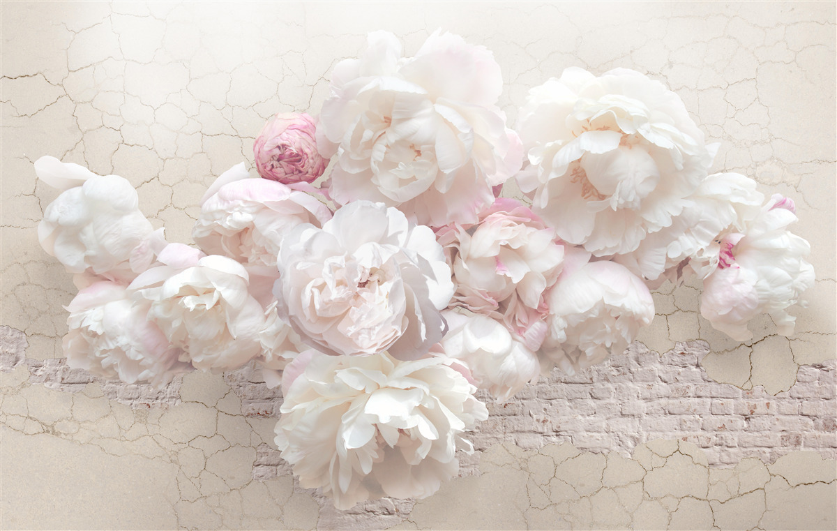 Papier peint délicates pivoines blanches et roses