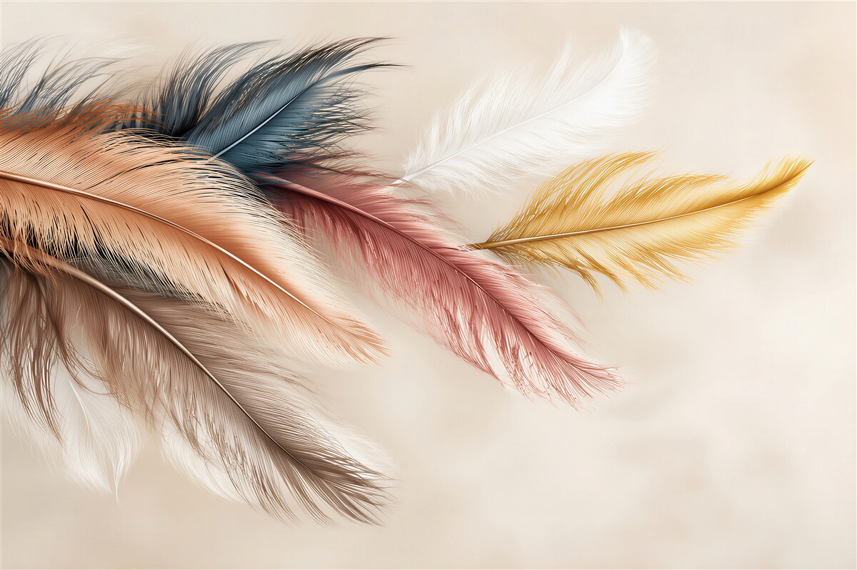 Papier peint Plume, et meubles