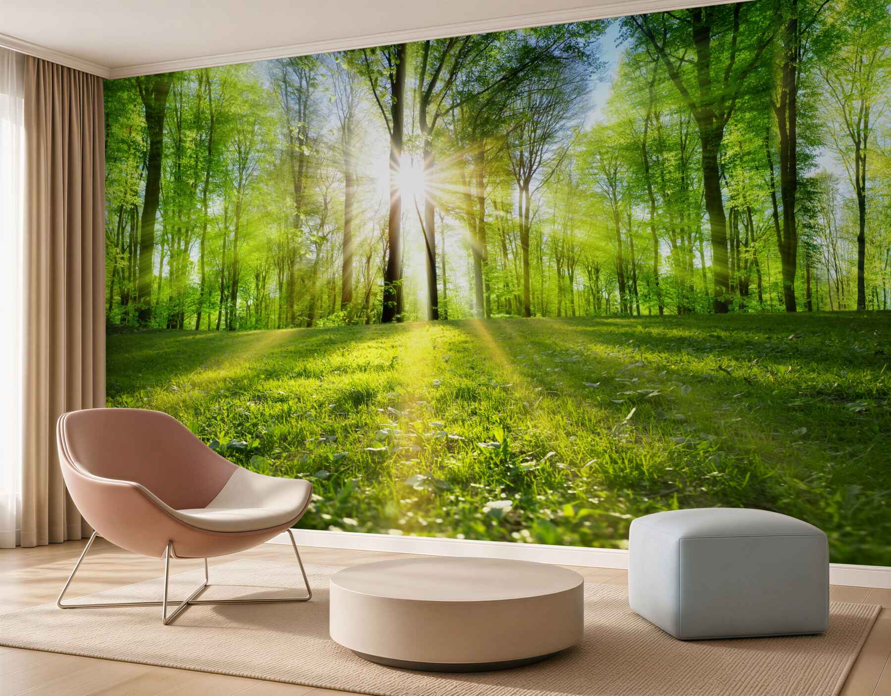 Papier peint rayons de soleil à travers les arbres