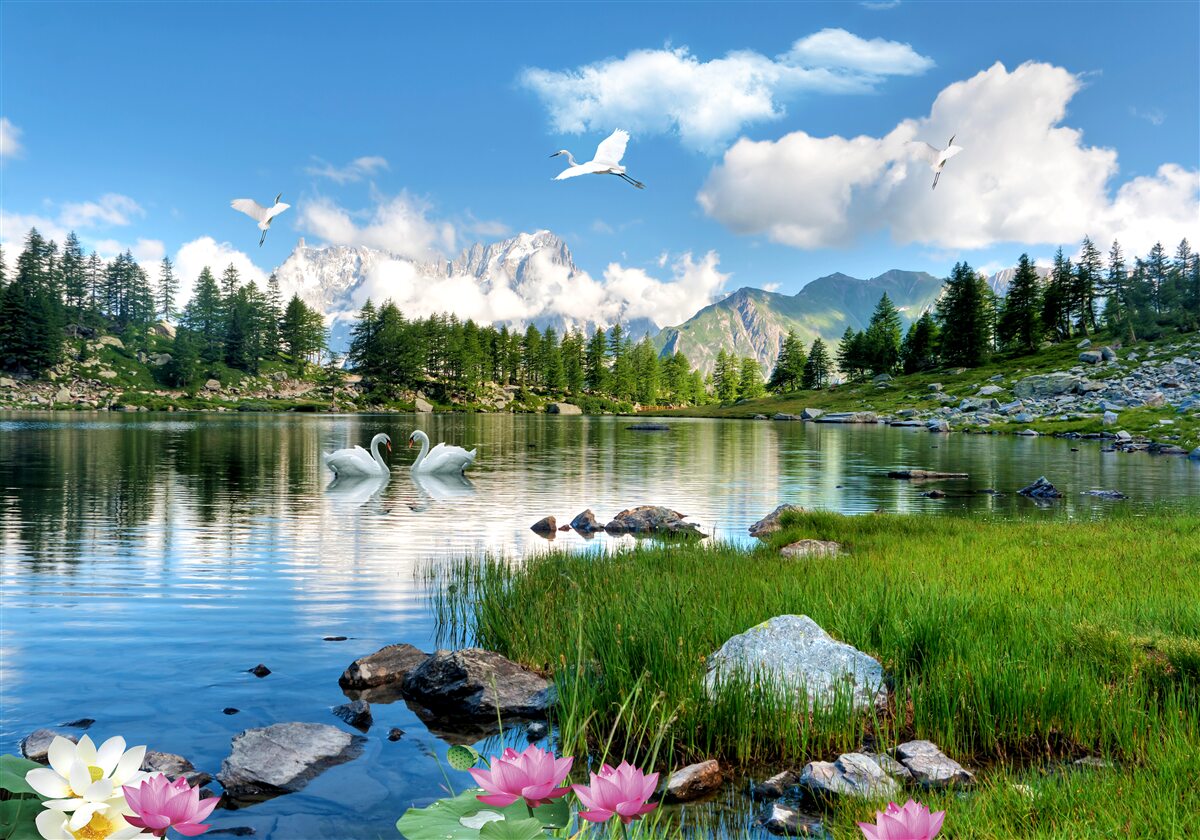 Papier peint lacs de montagne paisibles en été
