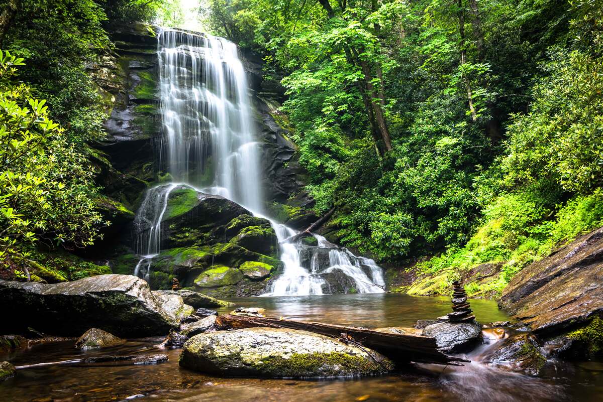 Papier peint cascade haute dans une forêt verte