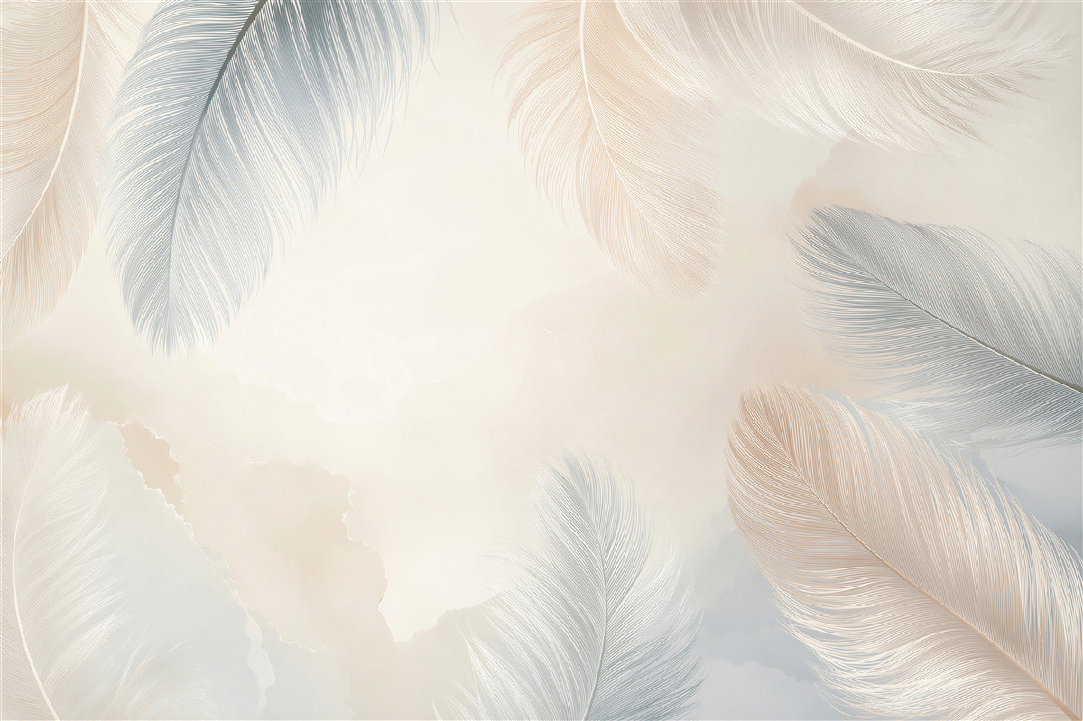 Papier peint Différentes plumes claires