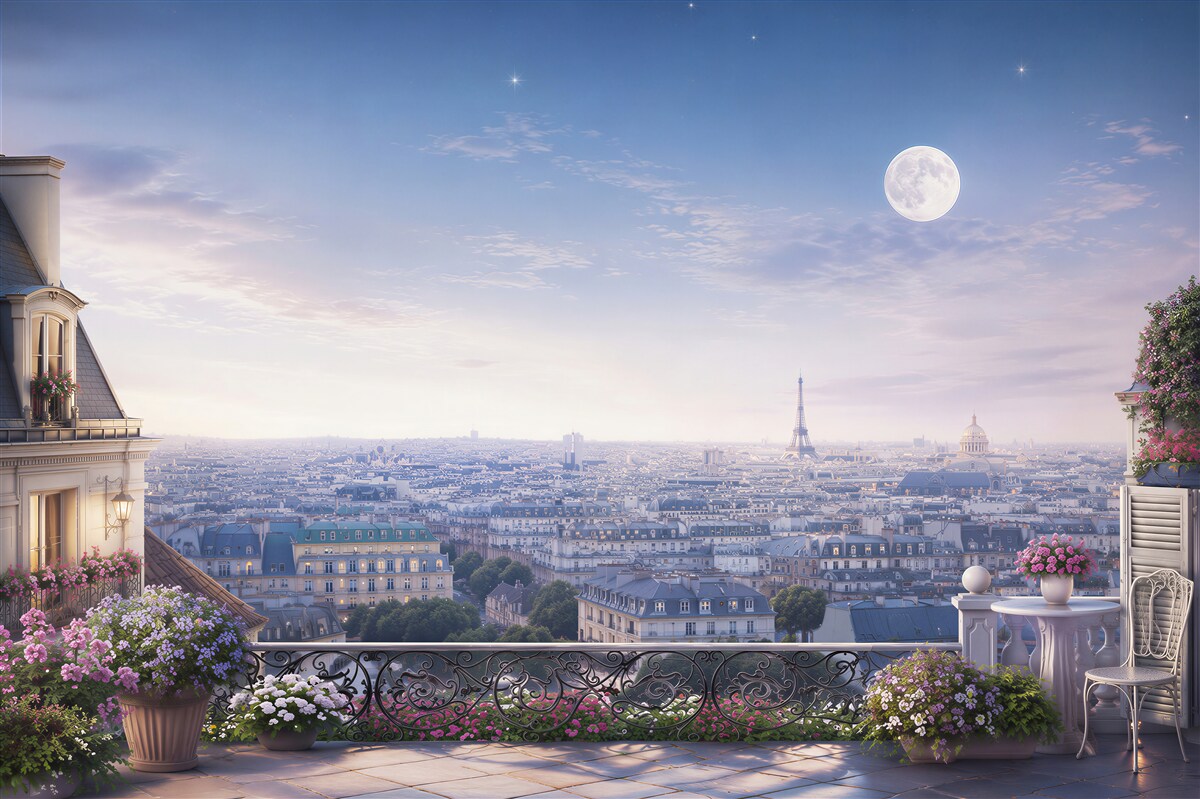 Papier peint Vue du balcon de Paris endormi