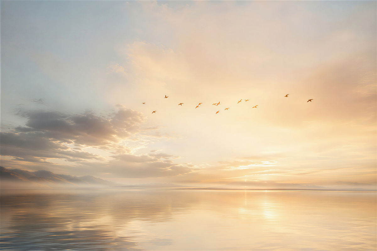 Papier peint oiseaux au-dessus du lac au lever du soleil paysage paisible