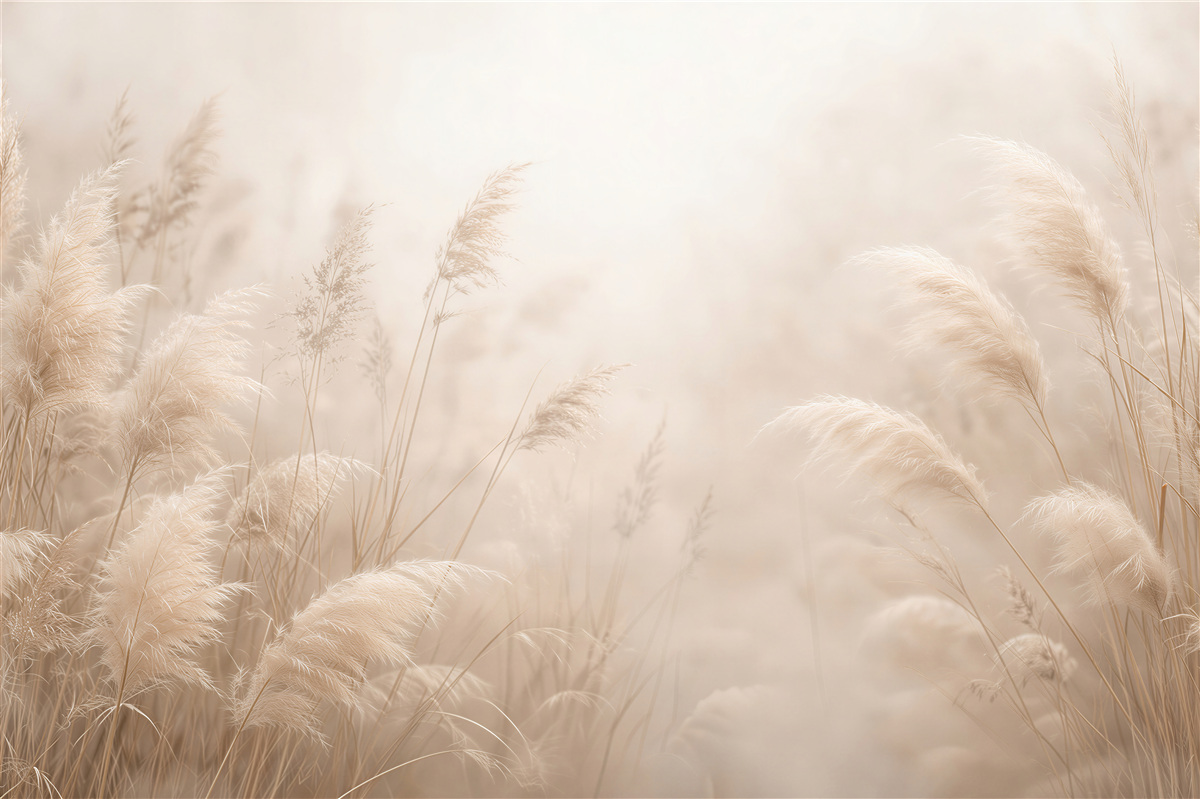 Papier peint Herbes duveteuses dans une lumière claire
