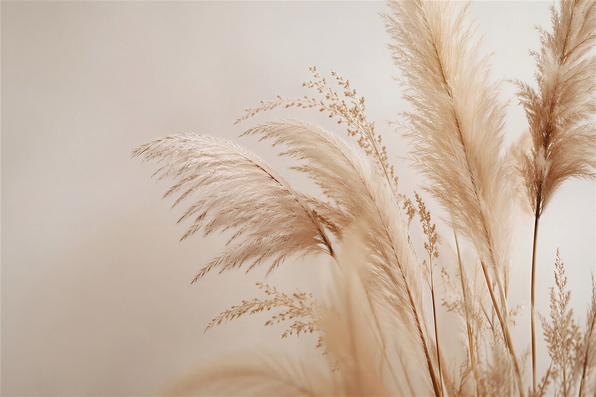 Papier peint Herbes de pampas beiges dans un style délicat