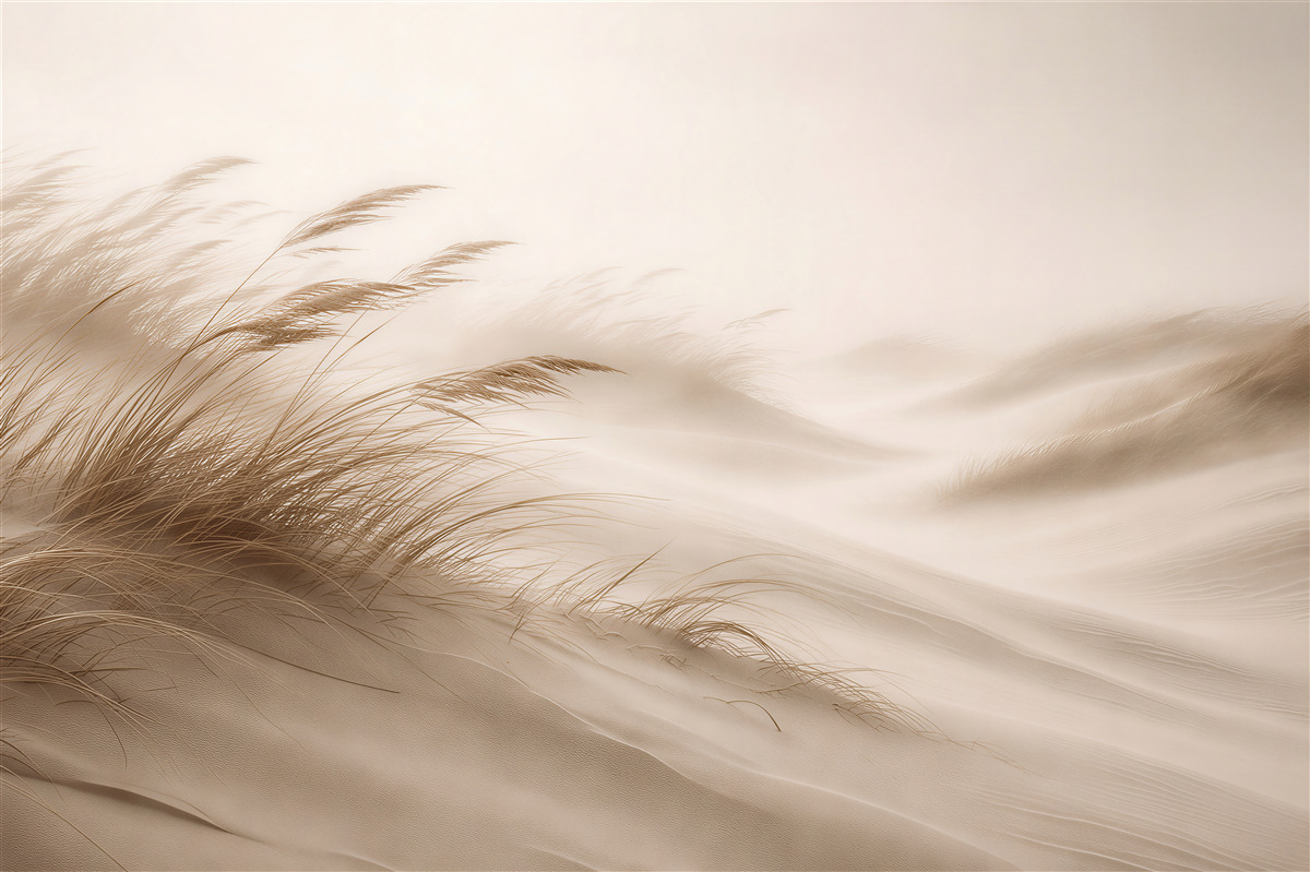 Papier peint dunes beiges avec herbes