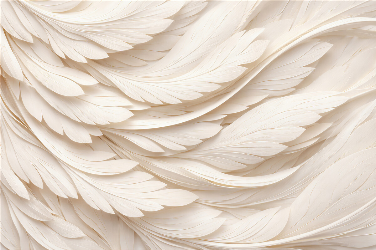 Papier peint plumes blanches soyeuses